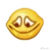 纨言言言言