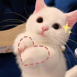 purpur