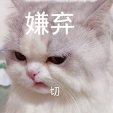 山南海北