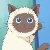 凉介世界第一可