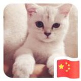 庸人自扰