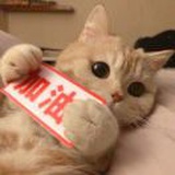 夏夏的夏