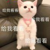 陌路