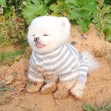 滚泥littledog