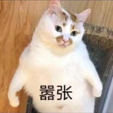 金嗅嗅
