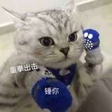 纸片人真好
