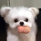 洛渝