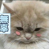 我又回来了