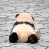 吃蓝莓了吗