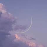 琛思