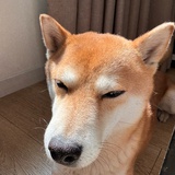 无名称