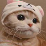 屎倒淋头还敢搅