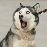 VVVVVVV
