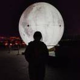 南风知我意