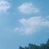 安酱～