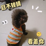 加油2024