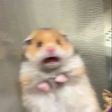 ohh