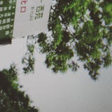 椒花人