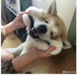 捏你哦