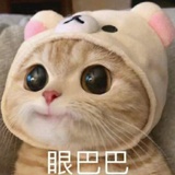 爱皱眉的小仙女