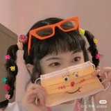 一只沙拉五五26