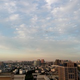 陌小哈