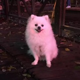 否则