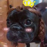 大白露の小栗子