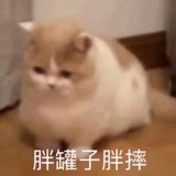 豆友237890851
