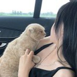 张巧益。