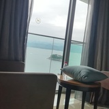 潇洒的风