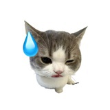 章鱼烧重度依赖