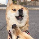 o