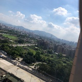 孤独的鲸鱼