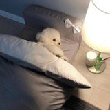 hygge