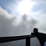 大木