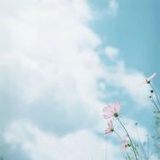 何须长生泥作骨