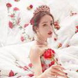 东京的樱花飘满