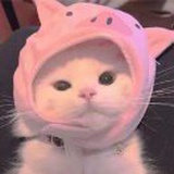 。