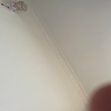 黑马乌鸦