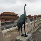 观海听涛
