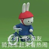 骑竞车网友