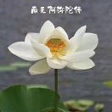 福慈