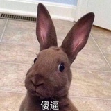 望月