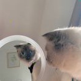 听说改名可以旺