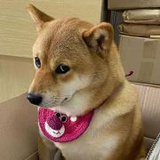 懒动计划