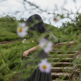 斯诺星刻苦白芍