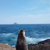 晓光之曦