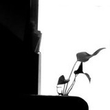 风情荒芜