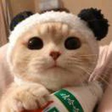 时时去私欲